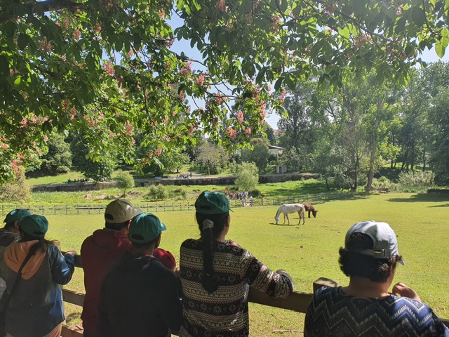 86dd19b8-be01-4206-bd80-2762dd4b1320