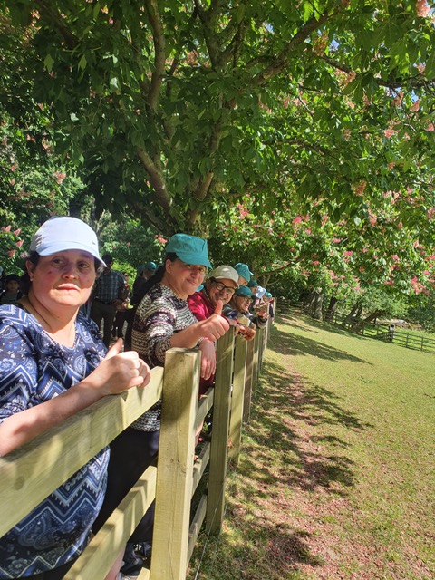 8e3d8cfc-ce01-40bd-b4b5-f8d656d66e83