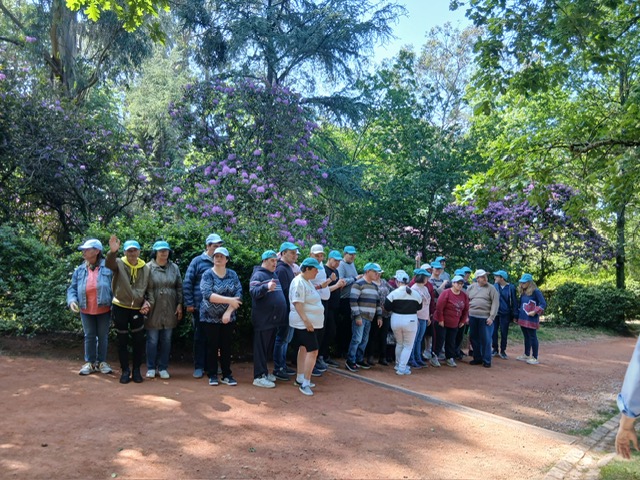 c3321ffa-5acf-4fda-bff8-9d9ac9229e43