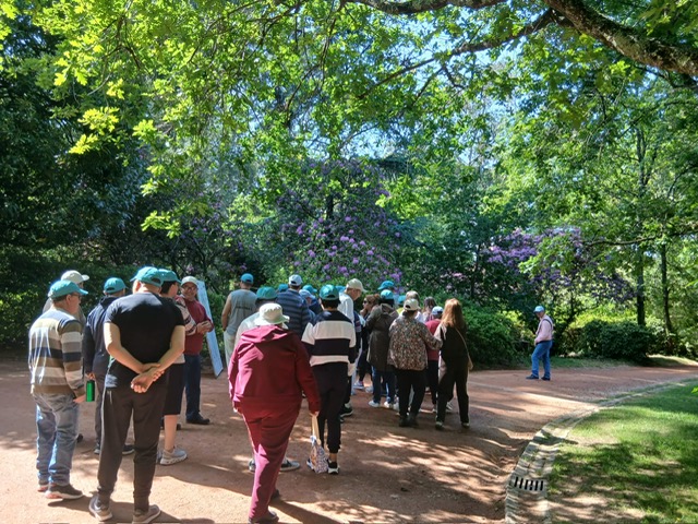 fbc2be88-9632-4b34-ab86-cedf30eab494